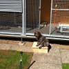 Im neuen zu Hause