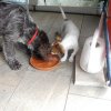 Im neuen zu Hause