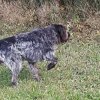 Lump vom Hirschwald