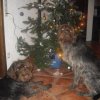 Gemischtes aus 2013