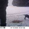 Jagdliches aus 2013