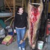 Jagdliches aus 2013