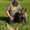 Jagdliches aus 2013