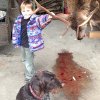 Jagdliches aus 2014