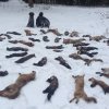 Jagdliches aus 2014