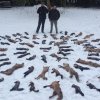 Jagdliches aus 2014