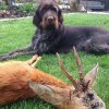 Jagdliches aus 2014