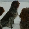 Jagdliches aus 2015