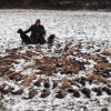 Jagdliches aus 2015