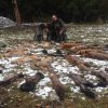 Jagdliches aus 2015