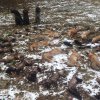 Jagdliches aus 2015