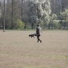 VJP - B-Wurf vom Wotanshein