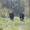 VJP - B-Wurf vom Wotanshein